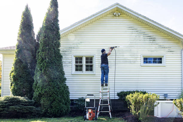 Best Residential Pressure Washing Services  in Clayton, NM