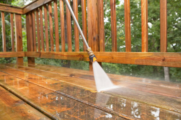 Best Residential Pressure Washing Services  in Clayton, NM